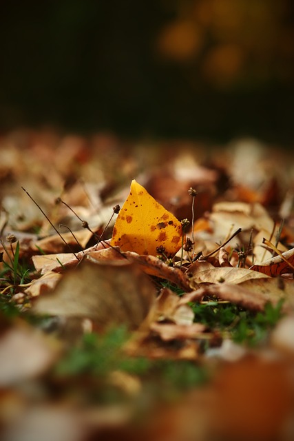 两难的境地 两难的境地